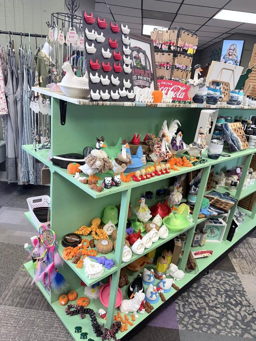 Tadpole's 3D Prints shelves at a vendor market
